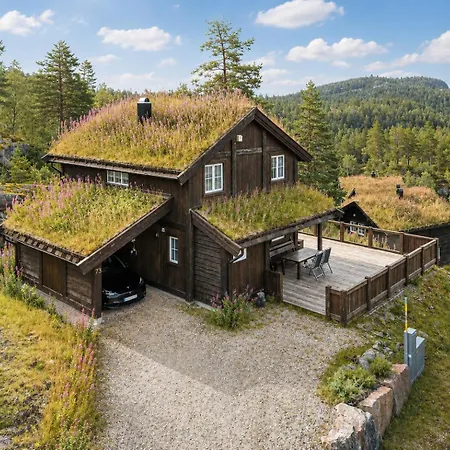 Fjellheim Panorama Aseral