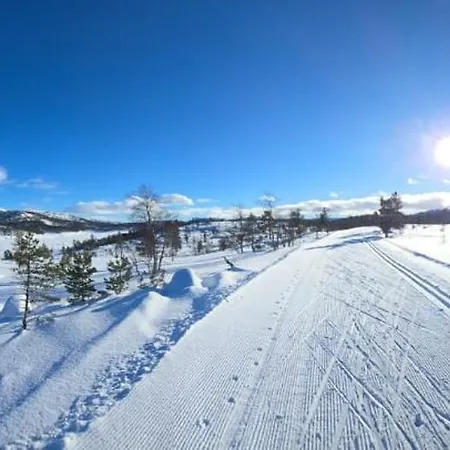 Fjellheim Panorama